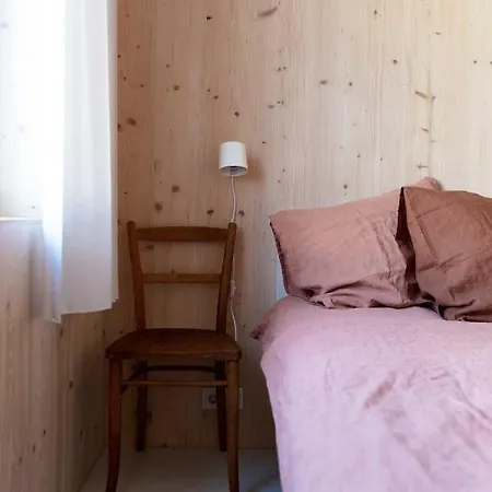 Oda ve Kahvaltı Noorderbed Amsterdam